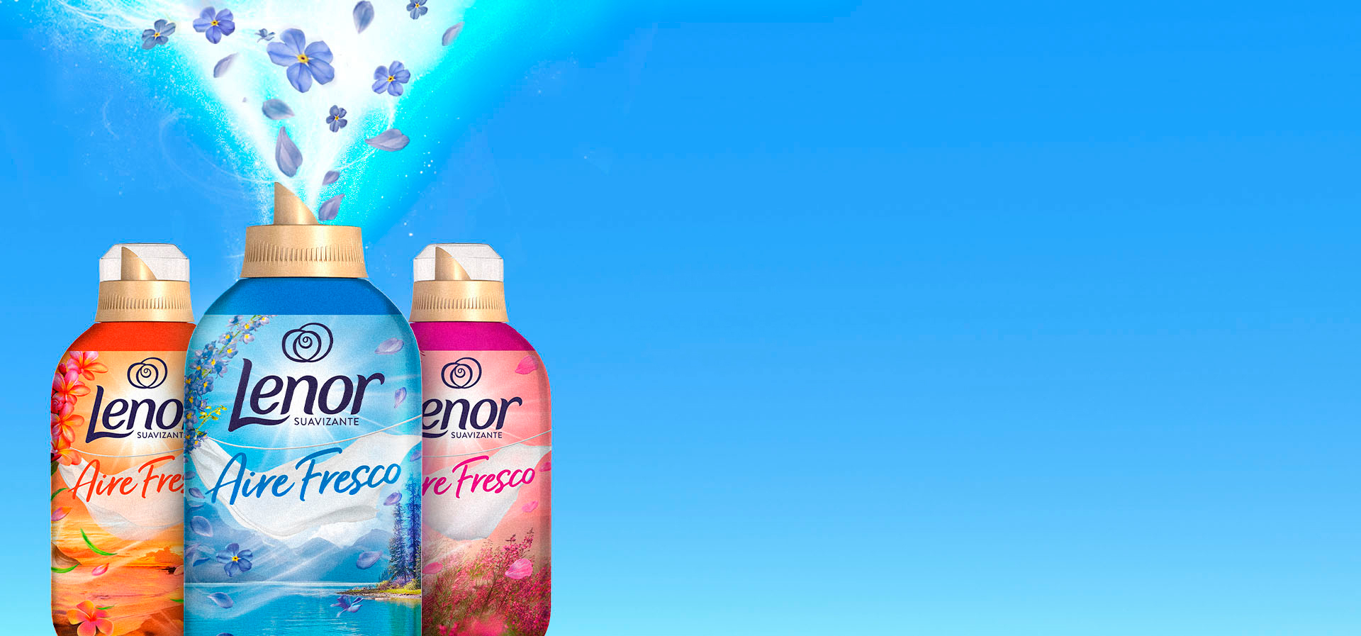 Registrarse en la promoción